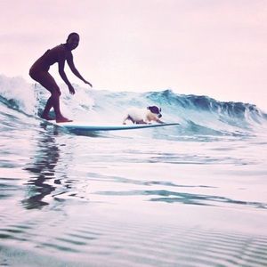 Meet your Posher, Avery